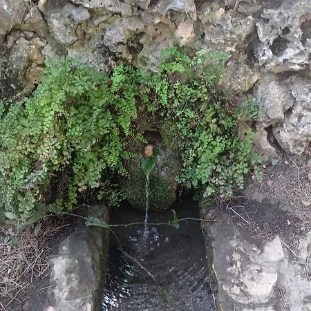 El Mirador
